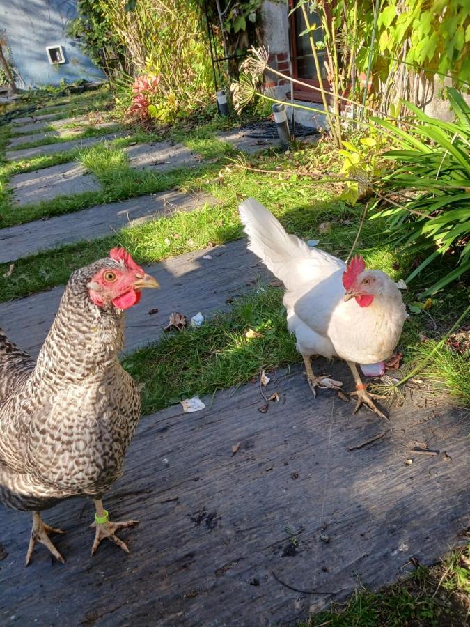 ナント Le Pigeonnier De La Plumeヴィラ エクステリア 写真